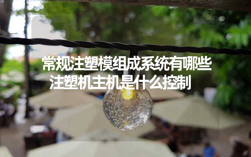 常规注塑模组成系统有哪些 注塑机主机是什么控制